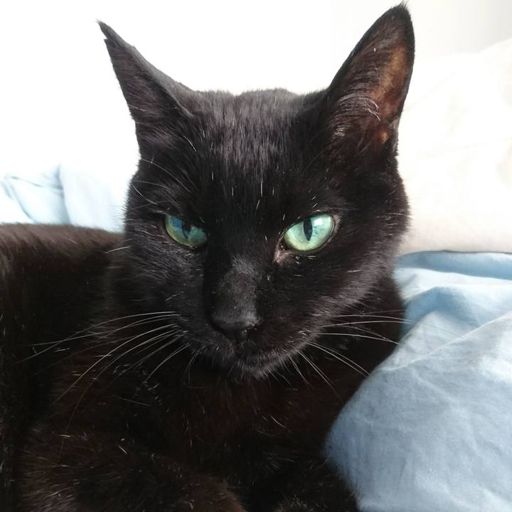 431ef644 abf8 4253 93a8 091a9ed2a86c 1521519215975