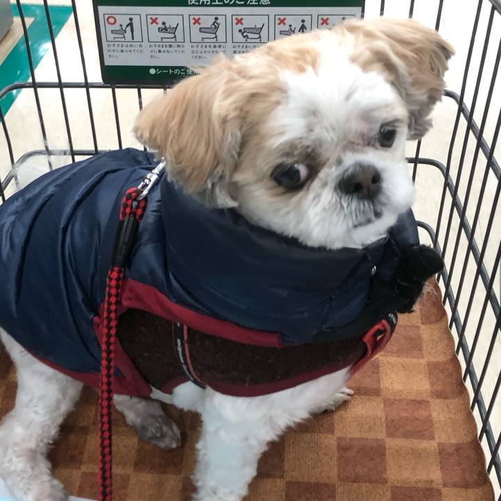 431f1b37 0042 48f0 80a1 6a193ddfea2c 1608500833999