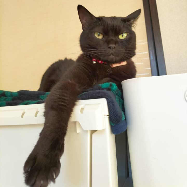 431f20bf ff25 4f5a 96a8 f8f7df521def 1671057253261