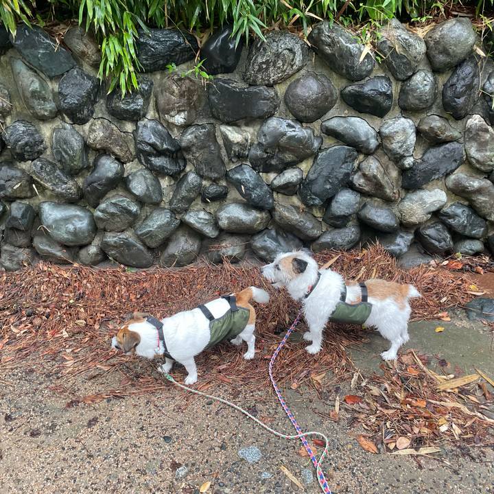 431f25c8 a8d9 4ca9 a0b8 0feea033c2c0 1756249031338