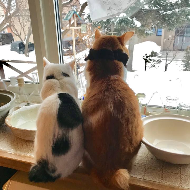 431f43f1 6f5e 4e79 a7f5 fa2f7022cf33 1552686019412