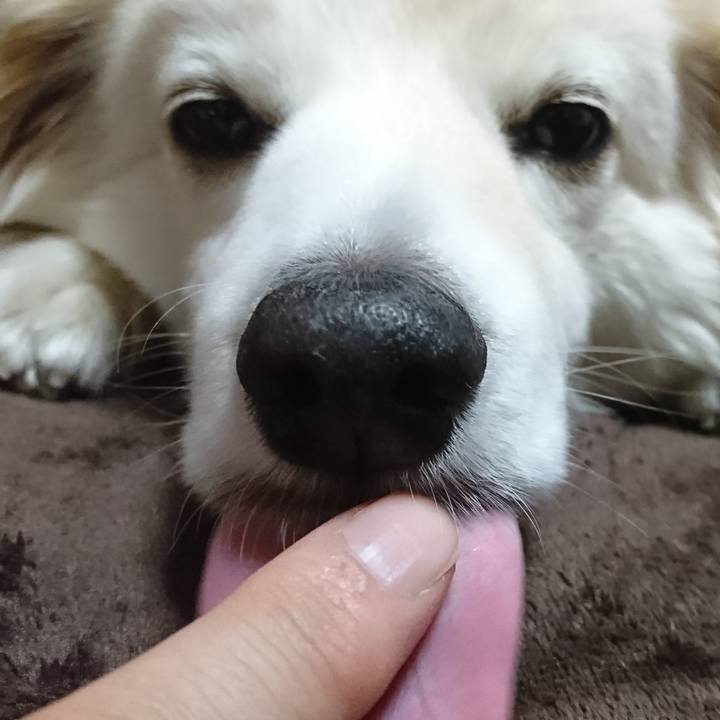 431f4557 7535 4f95 83fb 7f48e8eb859b 1523477675378