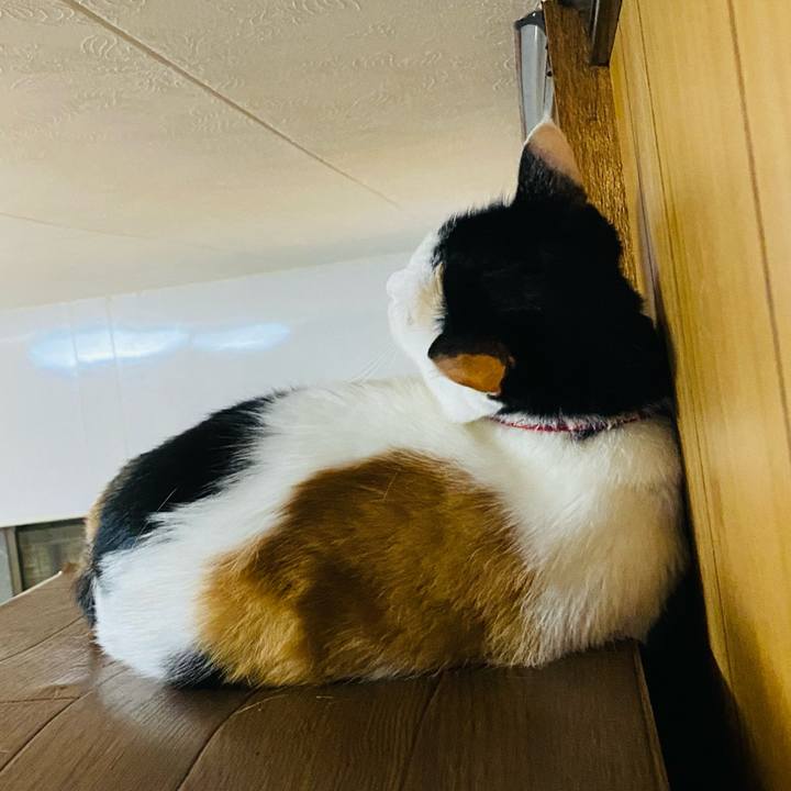 431f4f73 c659 4f6e 9987 3395e56cd963 1659225840596