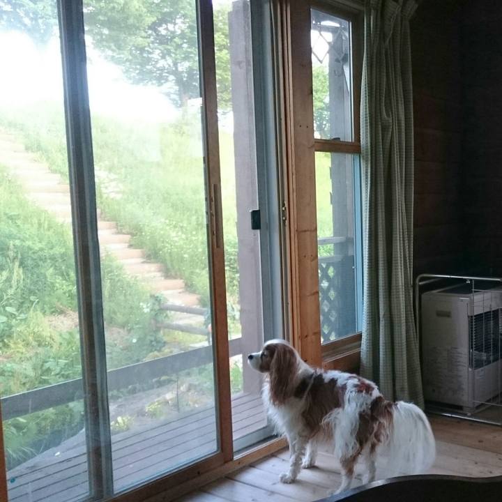 431f641c 5d58 4afe a667 3c75ecd4bce5 1558428411029