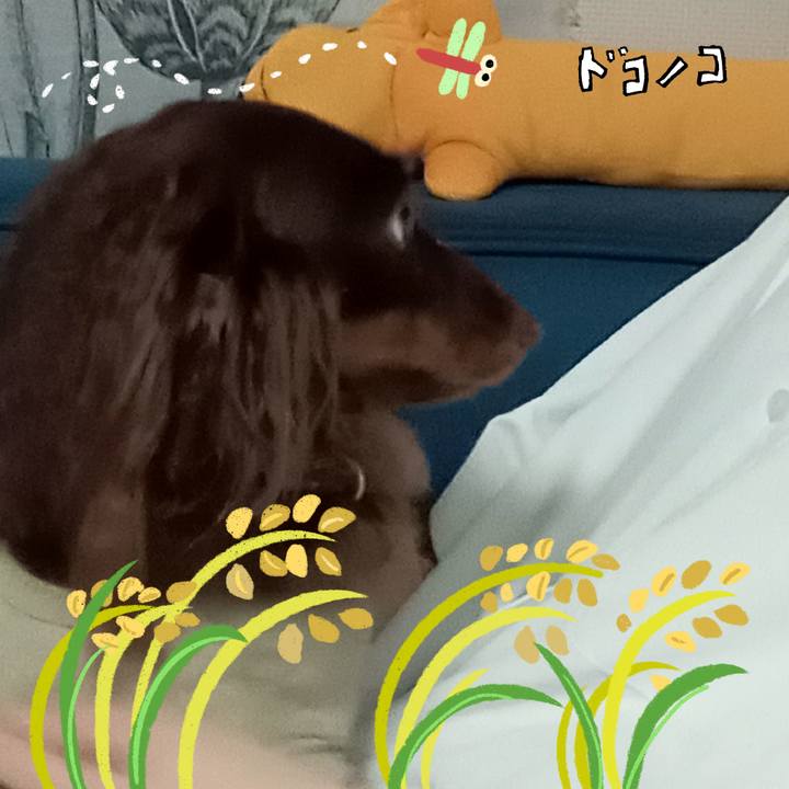 431f9d47 042f 4e8d b2f8 613df9b75171 1761339463674