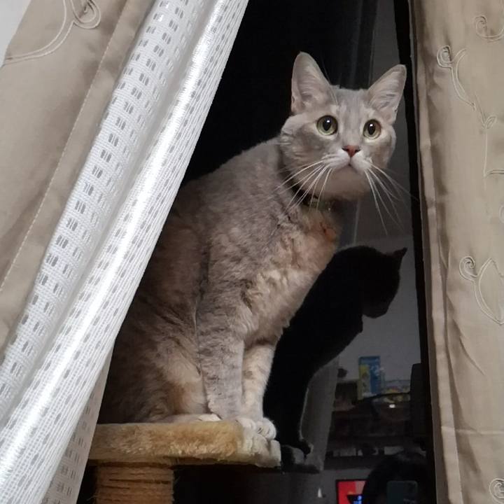 431fac2a b7a9 403f 9b2d 791099d3475e 1577888250662