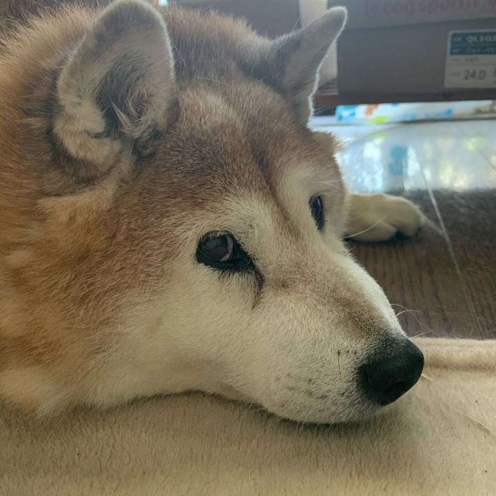 431fbc39 f195 4129 8715 d0f2c9d59a9e 1615687143713