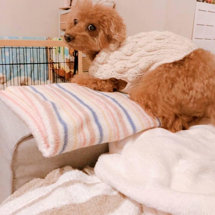 43205de9 f6d3 4ace 8ee2 c7af6ec84938 1516472256197