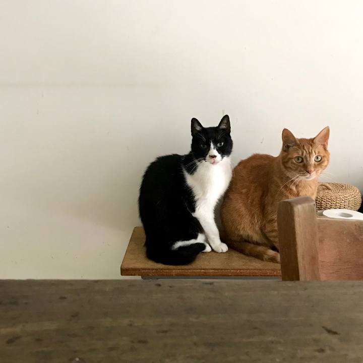 43206e14 4227 4bee a890 15f113d72b1c 1527663425565