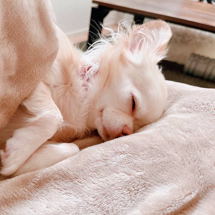 43207ec0 8201 4551 ab48 ce8fcd89c9f8 1665555804942