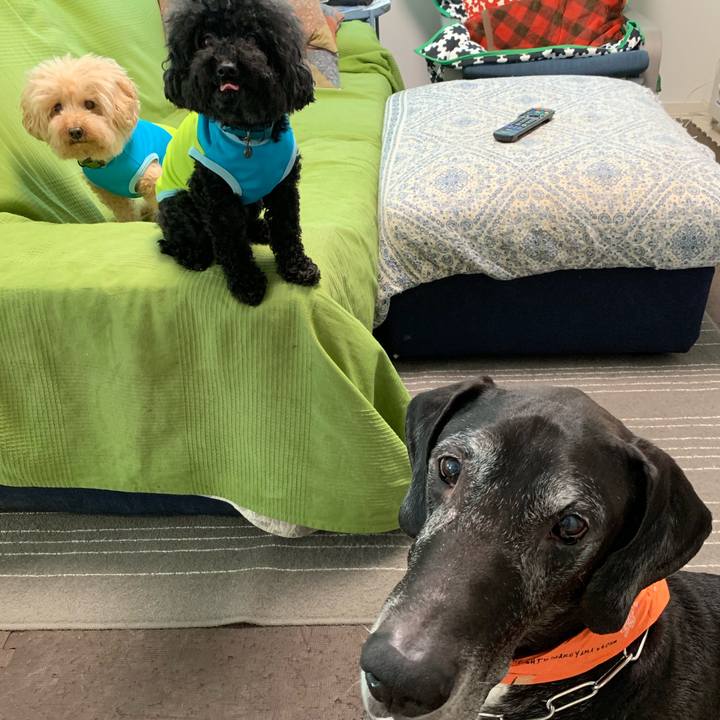 43208af9 d8ad 4776 8849 ac03ca424a6f 1566167558003