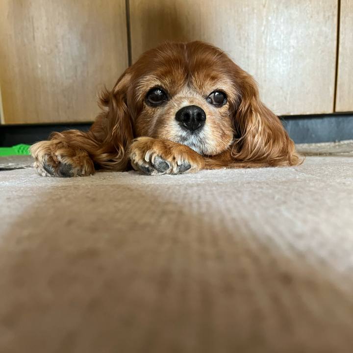 4320b198 ea6b 4e09 ae38 5e18e12a0189 1718143864809