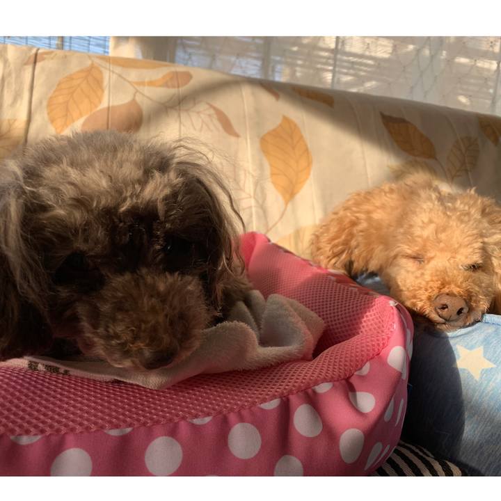 4320f1a7 be30 497b 8bbc b983830d4275 1589320550170