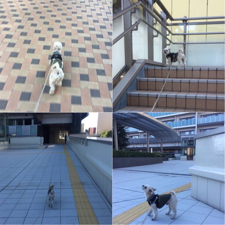 4320f7f1 3b18 4fcb 9dea f40a60de2c28 1542946766353