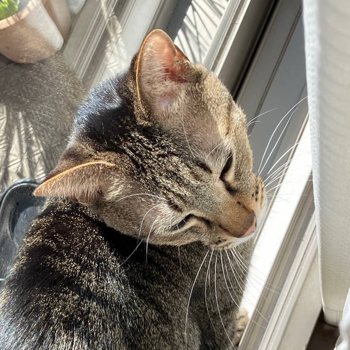 4320ff5d d01c 4c3d ae7e ec4bed2d8f35 1767660151620