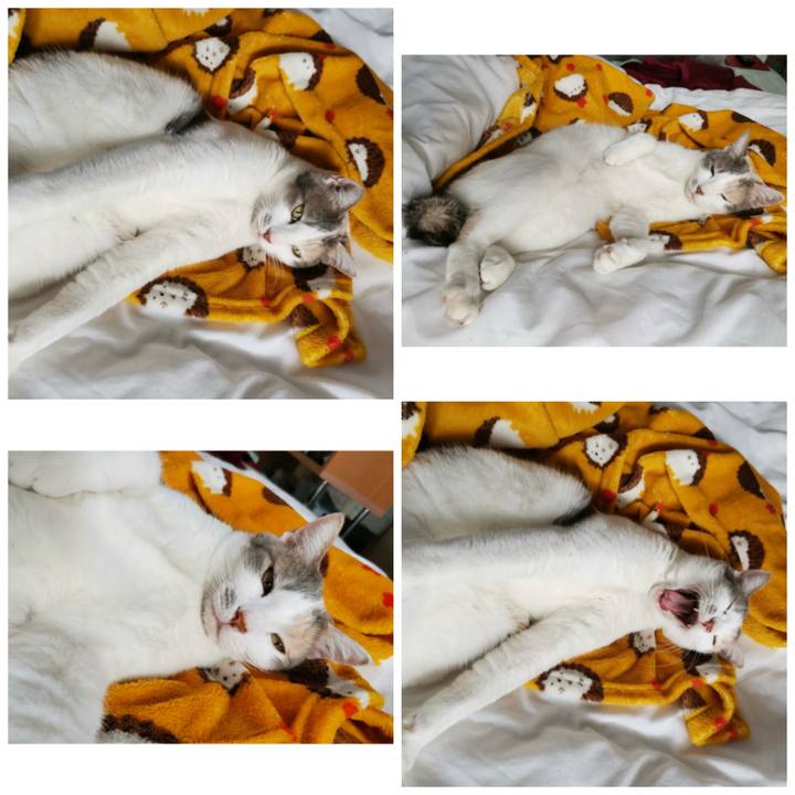 43213f47 4b38 4b8f a9b1 05d118d9214d 1638935374908