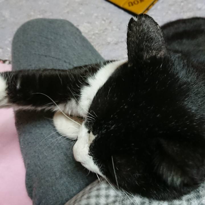 432142b9 a6fb 4d0d aab0 f7959cb7146a 1546833286210