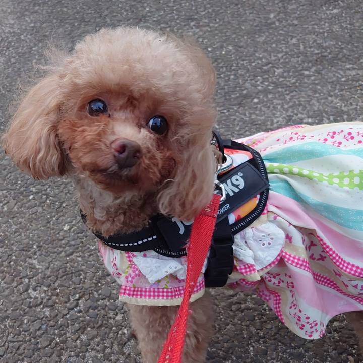 4321ac9c 56a5 4408 8539 deade078f7d9 1746364776996