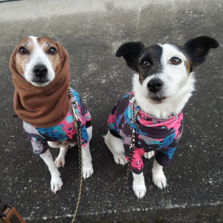 4321e8f0 d804 4bc1 b77b 11bfd3b8bb62 1765491198123