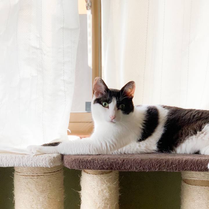 4321f6e3 fb48 4f81 a667 f1360116a292 1565488293094