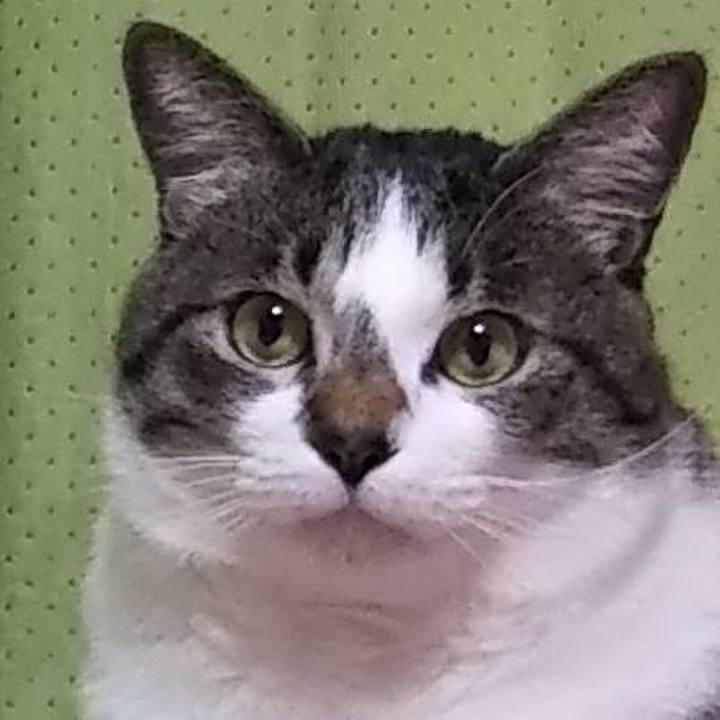 43221bd8 edcc 4601 bc87 8fe8d3e2ed30 1641421126686