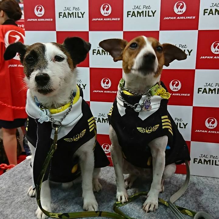 43224c56 fb75 40bd bbb7 b40999f5e5ff 1553861421880