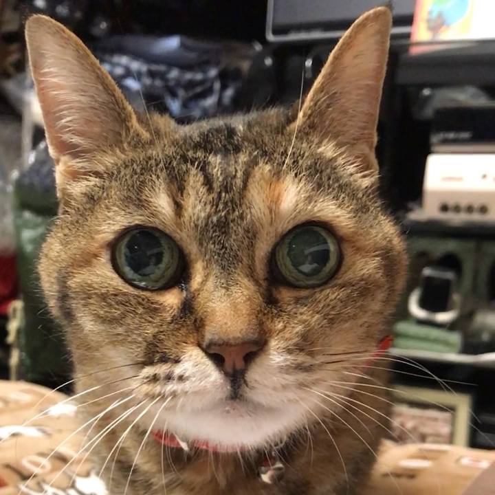 43226b95 1d2a 4d2d 9125 052e923a4586 1528101114679