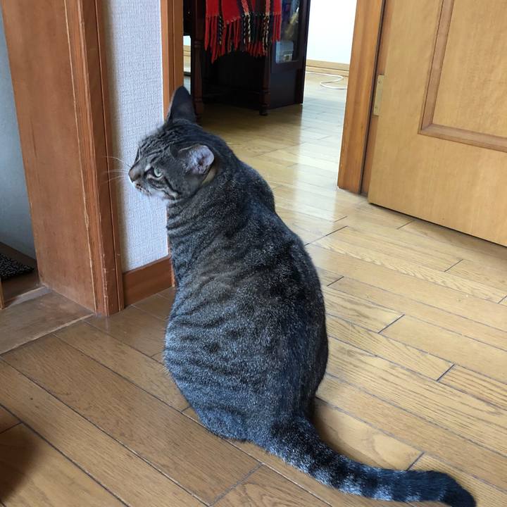 43227eae 0e81 4f37 b4f1 b5da08c3c169 1535623608539