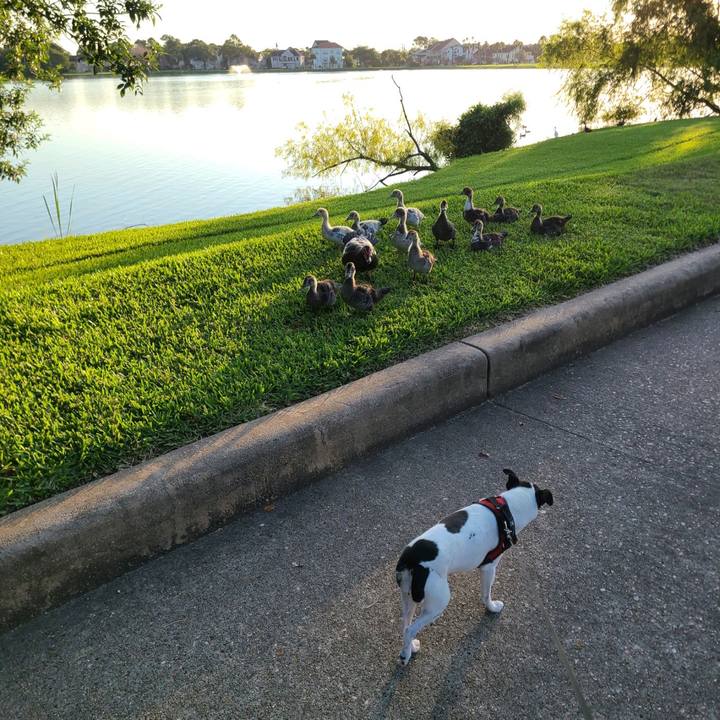 43229cb7 b167 4d96 881d e882730483f9 1627735017080