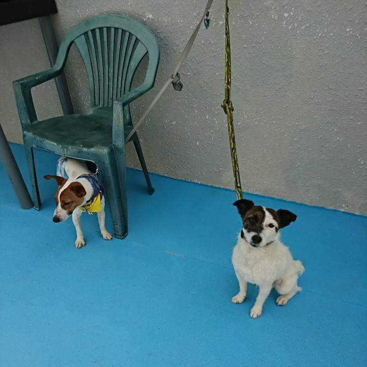 43229f20 183f 4e45 806f d7cb1d8b3091 1524358672802