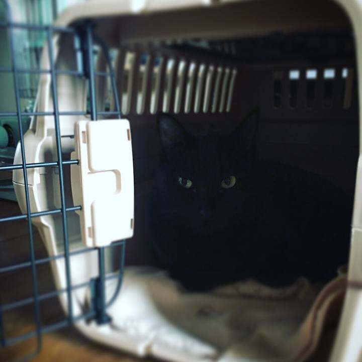 4322b922 01e1 41f7 b5ae 25a736fd2294 1511318972969