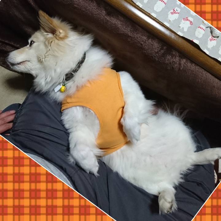 4322e084 80e3 405a ac0b 2be7cb3c9247 1522064870628