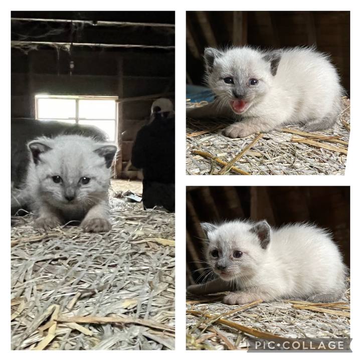 4322fd6a 3431 454b 946e 2f8afc22aa7c 1684657585045