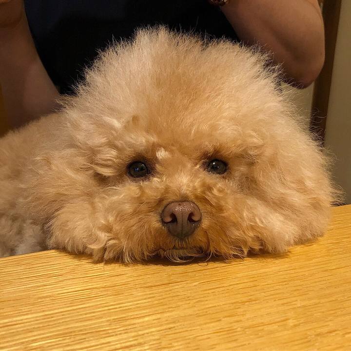 432304b7 a270 4df0 b1a0 ad9658042df9 1527424906942