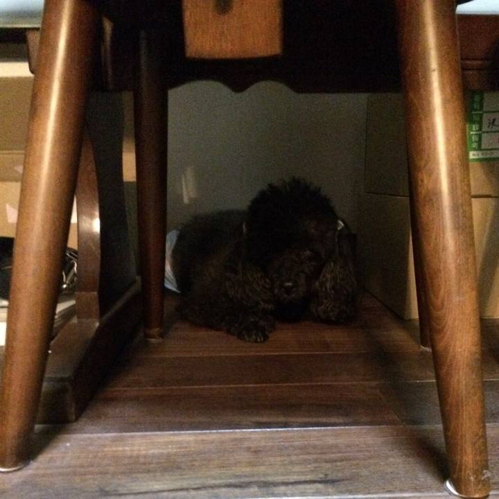 4323062d 7b72 48c6 bfd9 5fe295622832 1535802817862