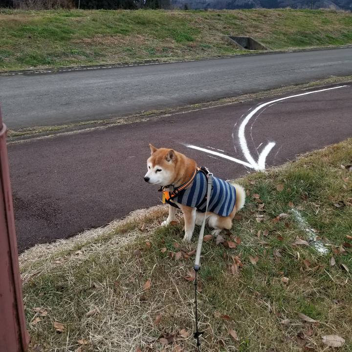 432370fd 625f 4265 abb1 c61c4288b1ec 1638603650356