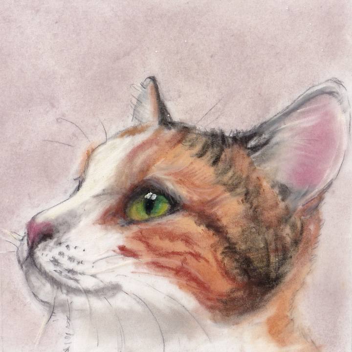 4323a4f9 3cfd 4cc4 9fa3 5c5191d23432 1738210411870