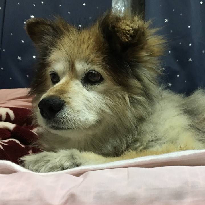 4323e368 12b9 4dde 9381 cea9ba4b23c3 1551399687429