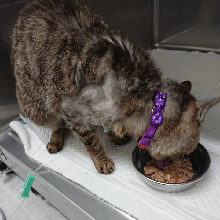 4323ea92 0dbf 4654 a3e5 d80fa9b93910 1595324792635