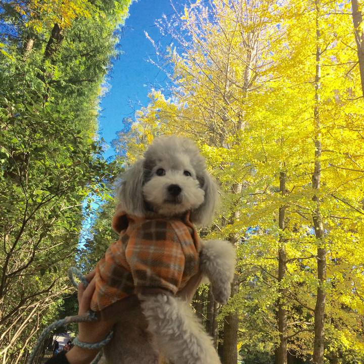 432400c3 b618 4754 9e76 422be148fd28 1510788161334