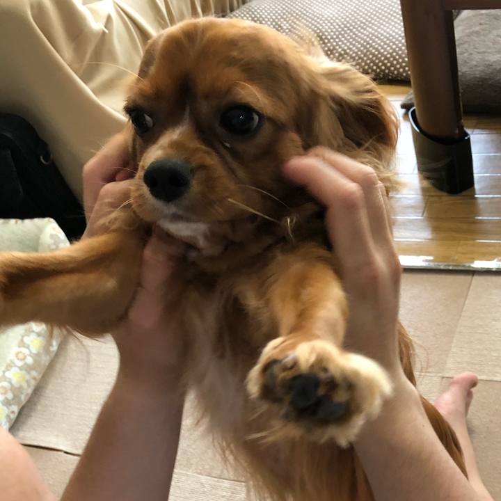 43240329 516e 47fb a076 c8daaf9aca41 1527998220106