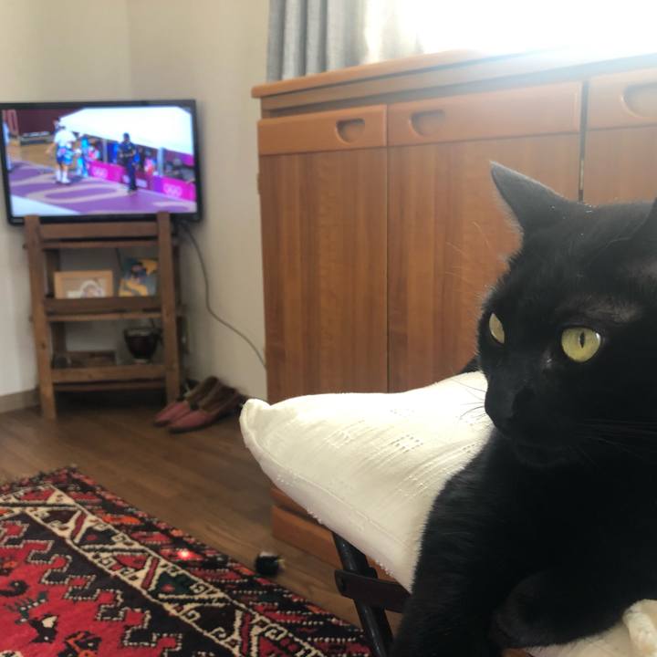 43241aea 3870 47f9 a819 2367499702e1 1627202585938