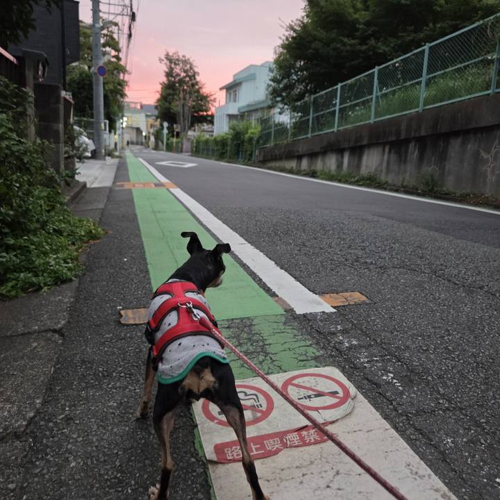 43241ec5 2299 4e58 a32b dd72aa4a4306 1755117258455