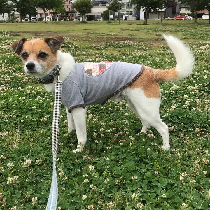 43244c35 c712 4810 8eaf eb780c84b9bd 1525843206801