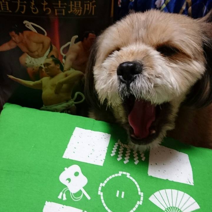 43244f44 15d5 41fe 96e8 b845342e854c 1512552029005