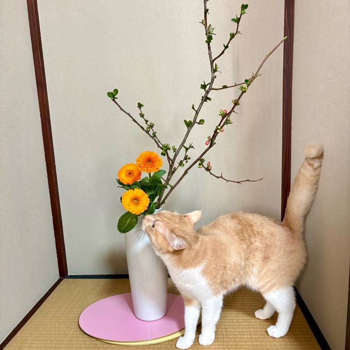 43245099 3c31 4f0c 92fc 81cfcbb1cd84 1773809119029