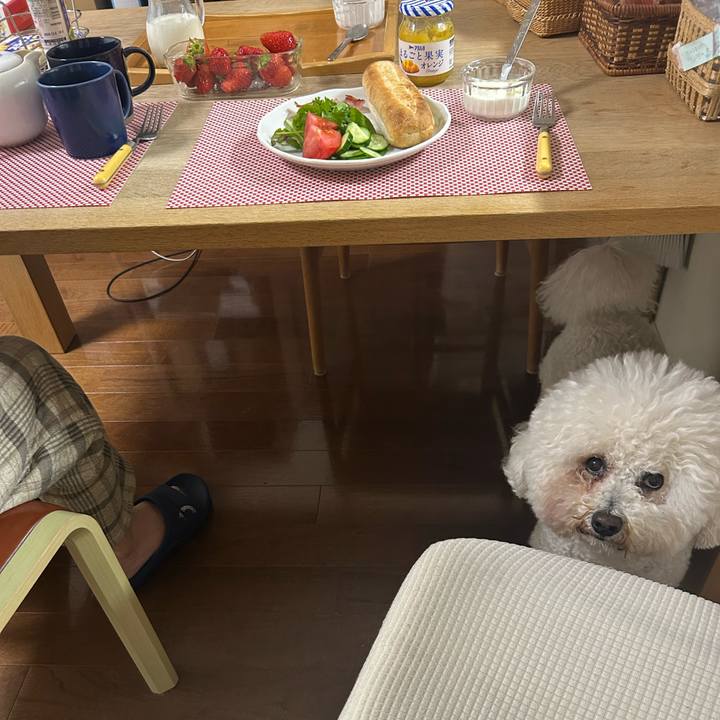 432498d3 8b46 466c 86ac e4244344e6d0 1774956480394