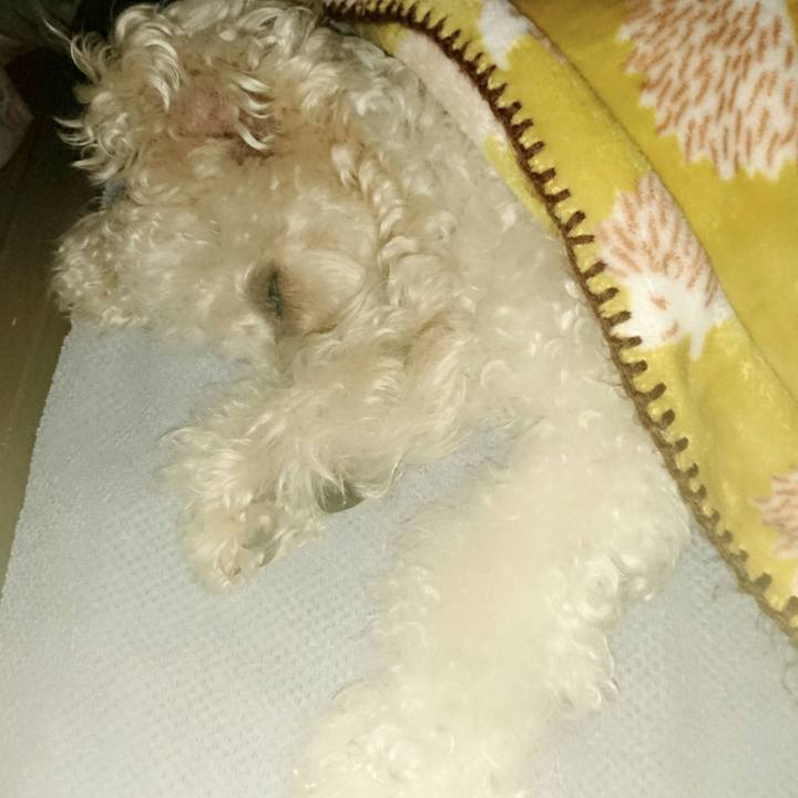 4324babf 8c7f 4797 8d8d 30da341df855 1524412064009