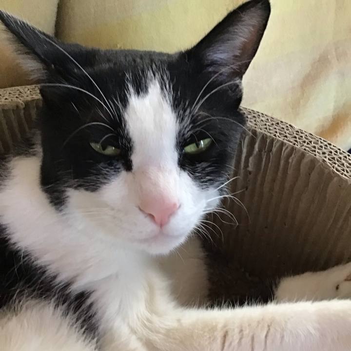 43250d91 bde6 47e8 aee4 e41f729f4948 1713576502845