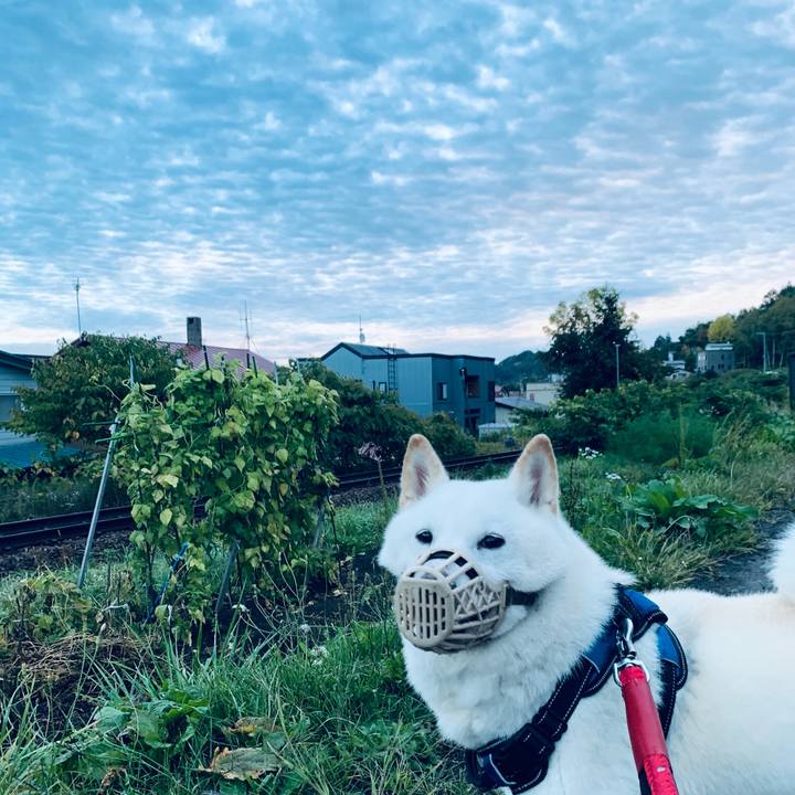 43251664 5af6 49eb 8587 b460b2c97979 1664139272189